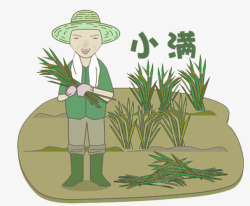 水稻种植小满装饰插图种植水稻高清图片