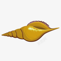 黄色海螺贝壳素材