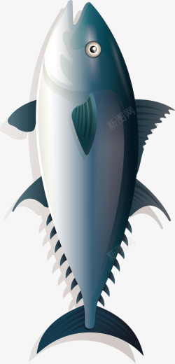 鱼插图卡通鱼矢量图高清图片