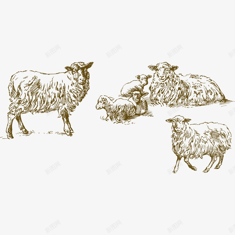 手绘绵羊png免抠素材_新图网 https://ixintu.com 动物 卡通 手绘 放羊 绵羊 羊毛