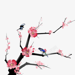 可爱红梅树枝一支寒梅花开高清图片
