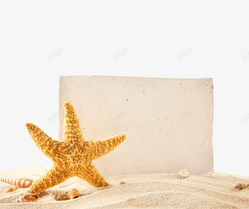 沙滩中的唯一png免抠素材_新图网 https://ixintu.com 完美 有你 沙滩 沙粒 海星