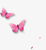粉红蝴蝶漂浮素材