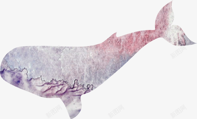 粉色海豚png免抠素材_新图网 https://ixintu.com 冬天 卡通 彩色 手绘 水彩 海豚 粉色 装饰