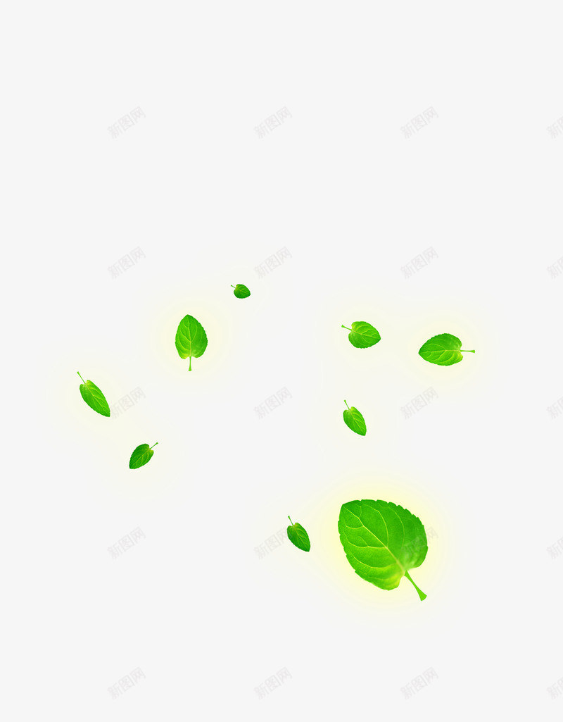 漂浮叶子png免抠素材_新图网 https://ixintu.com 漂浮叶子 绿叶 绿色 背景装饰 背景装饰素材