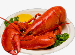 波士顿海鲜进口美味波士顿龙虾高清图片