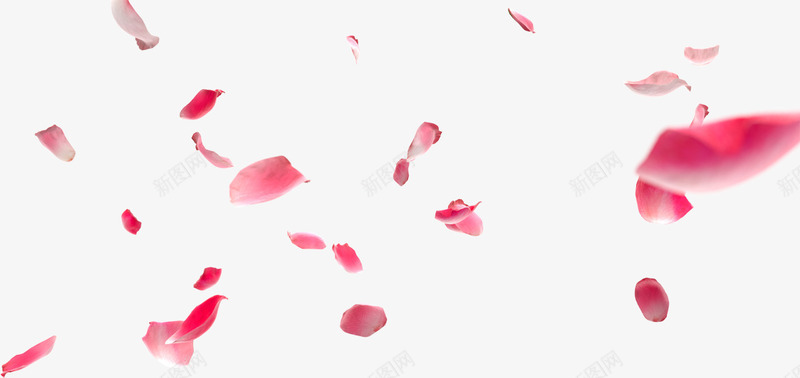 红色花瓣漂浮植物花瓣png免抠素材_新图网 https://ixintu.com 植物 漂浮 红色 花瓣