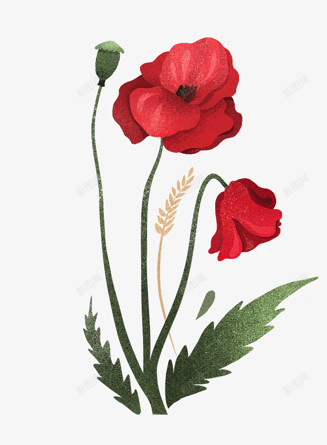 红色手绘的花朵装饰png免抠素材_新图网 https://ixintu.com 叶子 手绘花朵 红花 绿叶 花卉 花朵 花朵装饰