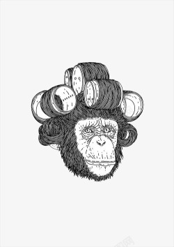 黑白烫发猴子插画素材