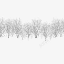 矢量雪松冬日雪松高清图片