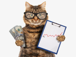 钞票钱炒股的猫高清图片