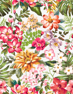 超美花卉素材库超美花卉装饰画矢量图高清图片