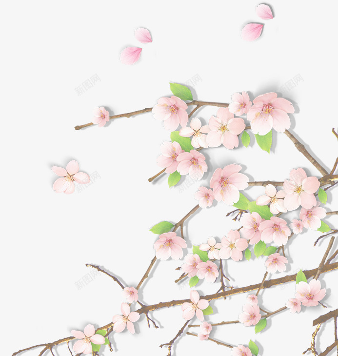 春季唯美粉色古典花朵png免抠素材_新图网 https://ixintu.com 古典 春季 粉色 花朵