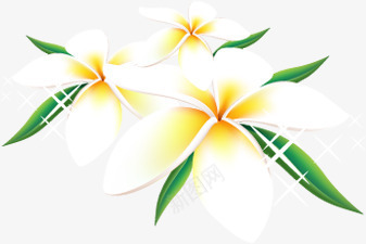 白色淡雅唯美花朵植物png免抠素材_新图网 https://ixintu.com 植物 淡雅 白色 花朵