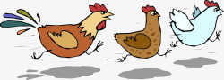 红色公鸡奔跑的鸡高清图片