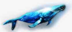 蓝色海鱼深海的鲸鱼高清图片
