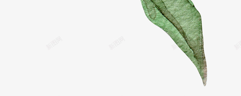 白色的花和叶子png免抠素材_新图网 https://ixintu.com 叶子 植物 矢量装饰 花 花朵 装饰