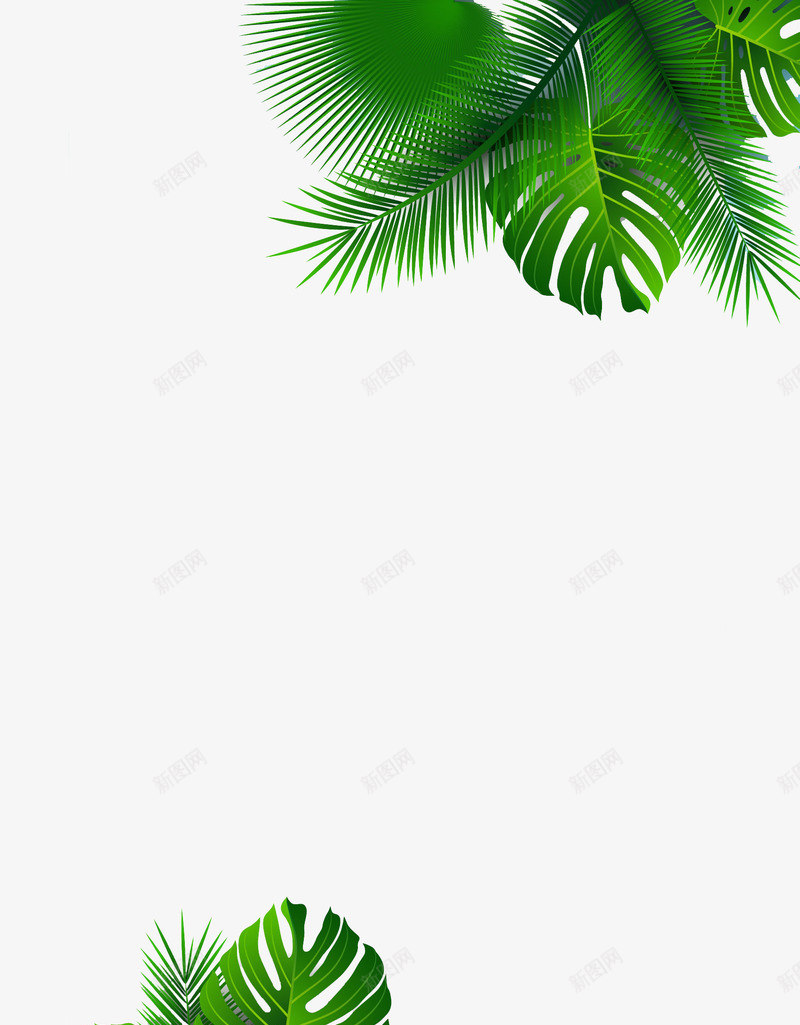 雨林大叶植物png免抠素材_新图网 https://ixintu.com 植物 椰子 热带云林 绿色 雨林