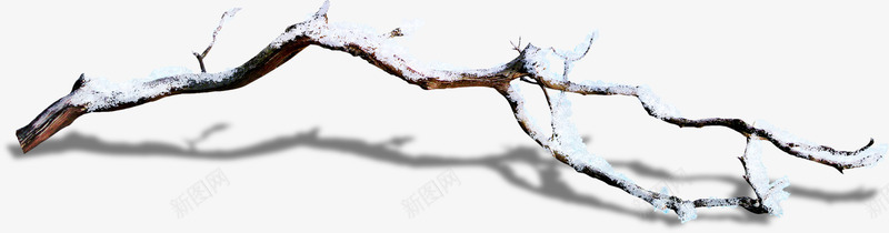 冬季地上的树枝png免抠素材_新图网 https://ixintu.com 冬季植物 凋落 枯萎 树枝 雪