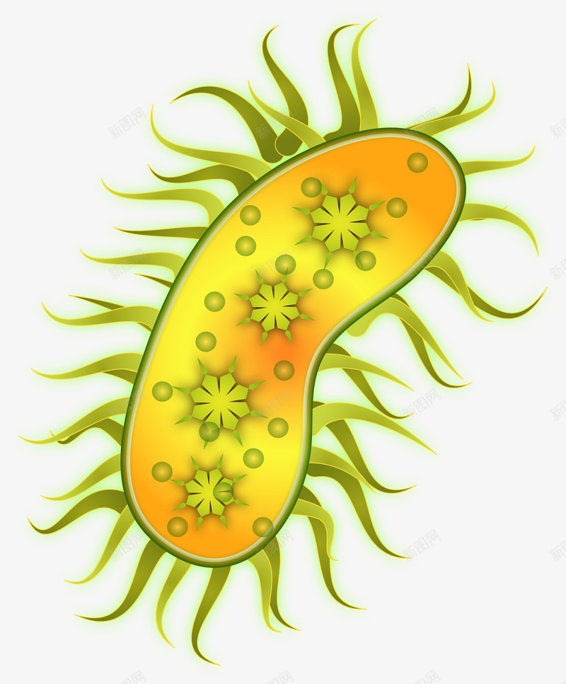 细胞分裂png免抠素材_新图网 https://ixintu.com 显微镜 生物医疗 生物学 生物研究 真菌 细胞 细胞高清大图 细菌 蛋白质细胞