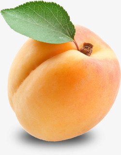 手绘矢量桃子黄色杏子实物高清图片