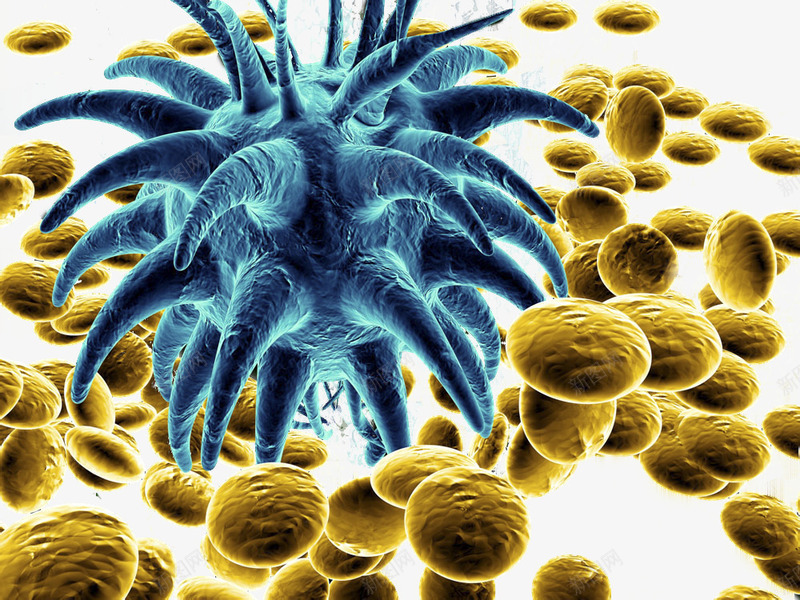 黄色磨菇状和蓝色微生物png免抠素材_新图网 https://ixintu.com 实验 微生物 生物科研 研究 科技 蓝色 蘑菇状 触须 黄色