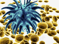 蘑菇状黄色磨菇状和蓝色微生物高清图片