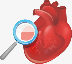 心肝心脏元素高清图片
