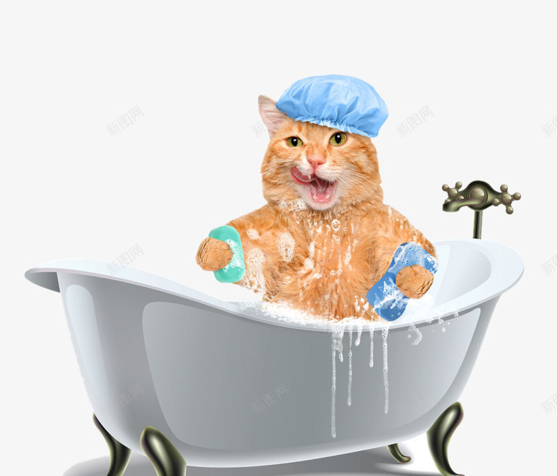 浴缸中泡澡的猫咪png免抠素材_新图网 https://ixintu.com 创意 动物 开心 泡澡 浴缸 猫咪 趴在浴缸边