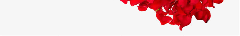红色玫瑰花瓣摆放png免抠素材_新图网 https://ixintu.com 创意 卡通 手绘 新图网 浪漫 玫瑰花瓣 简约 红色 设计