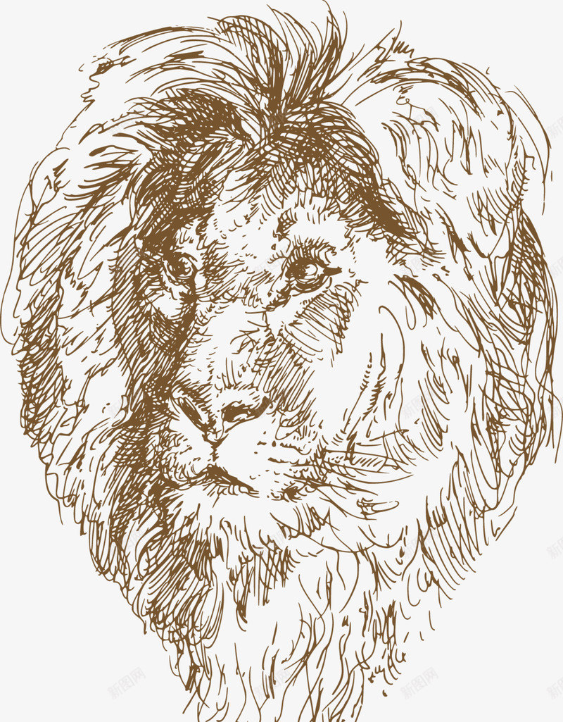 素描棕色狮子png免抠素材_新图网 https://ixintu.com 凶猛狮子 威猛狮子 棕色毛发 棕色狮子 狮子头 素描狮子