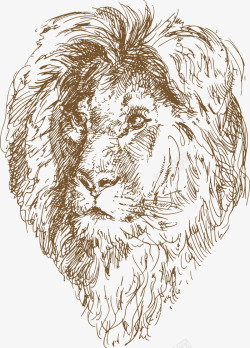 威勐狮子素描棕色狮子高清图片