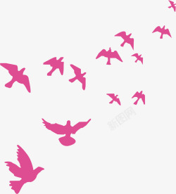 群飞的鸽子鸽子群高清图片