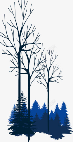 寒冬植物蓝色树林植物高清图片