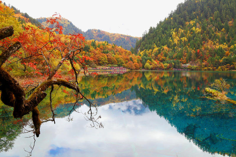 秋游九寨沟png免抠素材_新图网 https://ixintu.com 九寨沟 名胜古迹 地方景点 实物图 摄影图 旅游 湖水 秋季 自然景观 高清图片