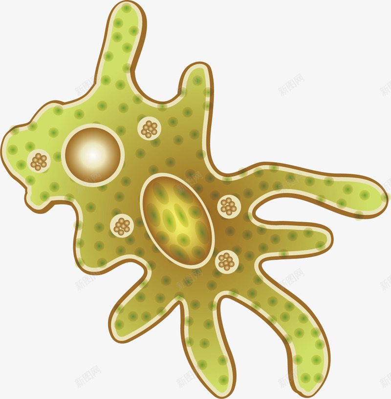创意淋巴细胞矢量图ai免抠素材_新图网 https://ixintu.com 创意 卡通 手绘 水彩 淋巴 生物 细胞 细胞结构 结构 设计 矢量图