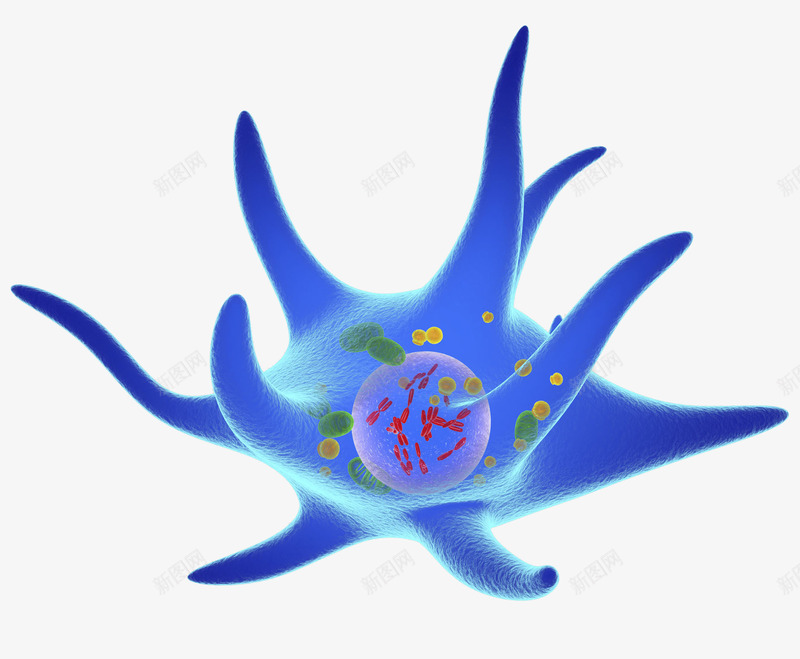 蓝色细胞立体插画png免抠素材_新图网 https://ixintu.com 免抠PNG 卫生保健 生物学 电脑制图 立体3D 蓝色细胞立体插画