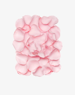 玫瑰造型粉色玫瑰花瓣造型高清图片