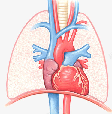 肺部医疗插图图标图标