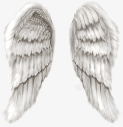 天使羽毛翅膀背景图素材