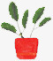 红色涂鸦插画盆栽植物素材