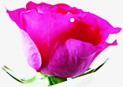 紫色玫瑰爱心婚庆吊牌素材