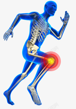 人体骨胳人体膝盖骨头高清图片