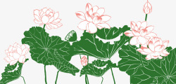 水彩睡莲莲蓬中国风手绘荷花矢量图高清图片