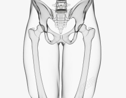 拍X光线X光骨盆插图高清图片