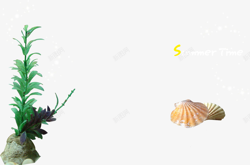 创意摄影绿色植物贝壳png免抠素材_新图网 https://ixintu.com 创意 摄影 绿色植物 贝壳