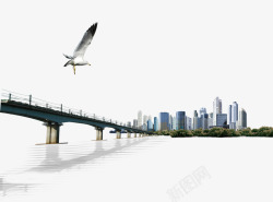 海大跨海大桥海鸥城市高清图片