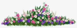 网页花朵紫色花一堆紫粉色花草高清图片