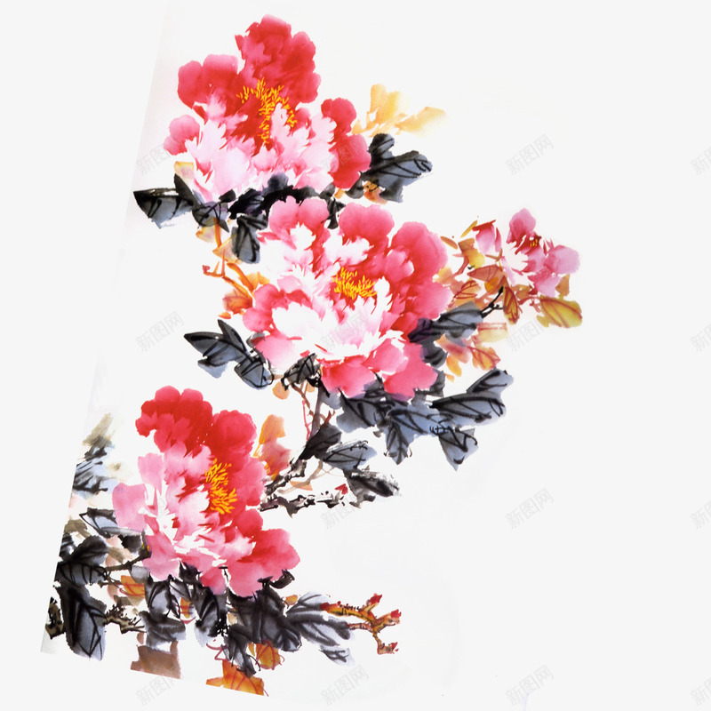 牡丹png免抠素材_新图网 https://ixintu.com 中国画 水墨 牡丹 红色 花朵 黑色