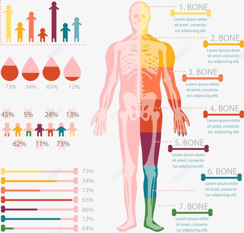 手绘人体数据png免抠素材_新图网 https://ixintu.com 人体 健康 手绘 数据